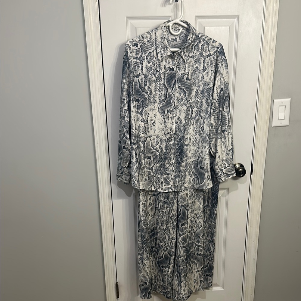 Zara Gray Snake Print Top and Pant Matching Set